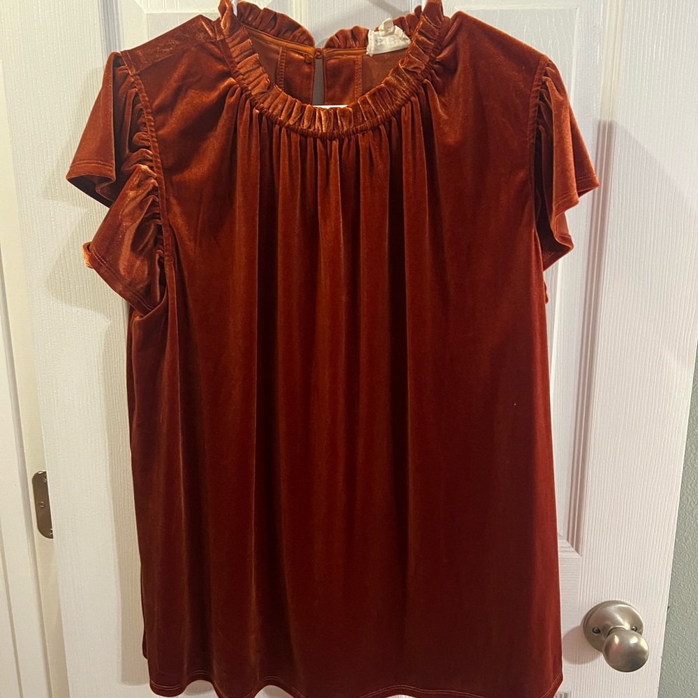 Elegant Rust Velvet Women's Top